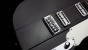 Shergold Telstar Standard ST14 Black 12-String