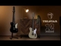 Introducing the Shergold Telstar 12-String