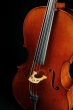 J.T.L Cello 4/4 Violoncelles de Maître - Stradivarius