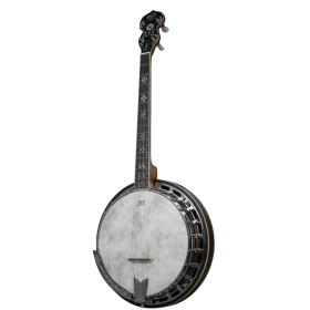 Barnes & Mullins Empress 4-String Tenor Banjo 