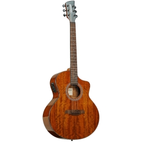 Brunswick BTK60 Grand Auditorium Electro/Cut Walnut