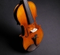 J.T.L Violin 4/4 Violons de Maître - Stradivarius 