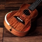 Barnes & Mullins Tenor Ukulele - Spalt Maple