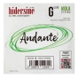 Hidersine Andante Viola G String 16" - 15"